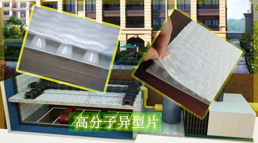 1612234062436514.jpg 高分子異型片1.jpg